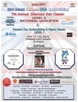 2012FLYERsponsor
