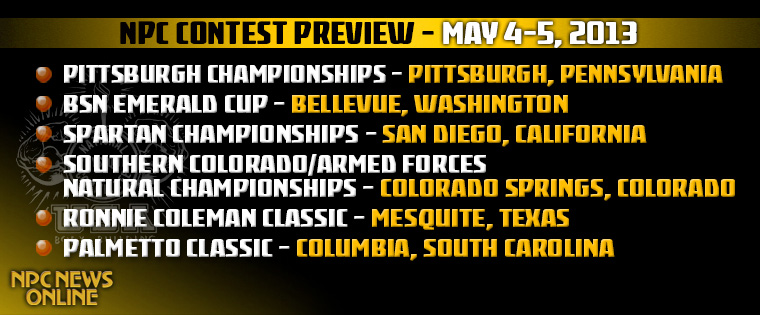 CONTESTPREVIEW0050413